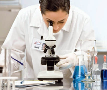 circuito chic; Laboratório Bioanalise