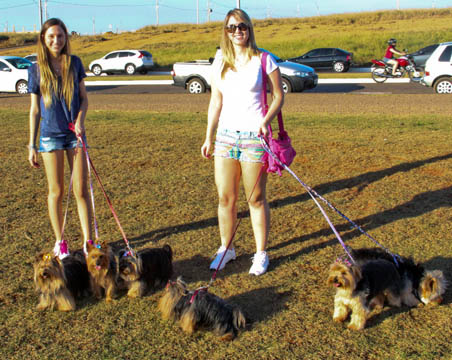 Coluna Circuito Chic; Coluna Christiano Coelho; Sociedade Primavera do Leste