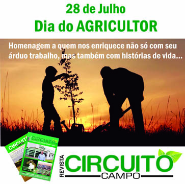 circuito chic; coluna christiano coelho