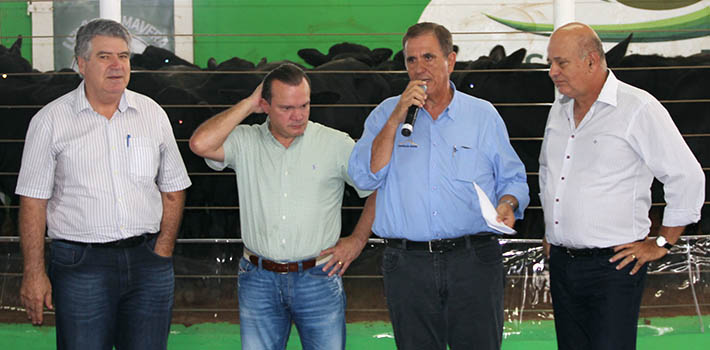 circuito chic; coluna christiano coelho