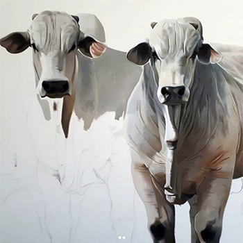circuito chic coluna social primavera do leste coluna do chris  colunista christiano coelho  petteson silva arte plastica premio giulio cesare 2018