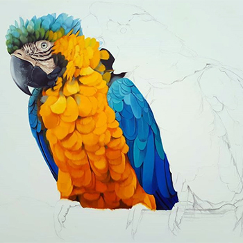 circuito chic coluna social primavera do leste coluna do chris  colunista christiano coelho  petteson silva arte plastica premio giulio cesare 2018